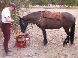 Acknowledging Saddle